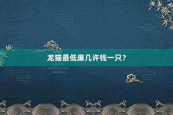 龙猫最低廉几许钱一只？