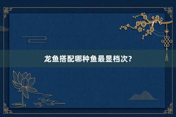 龙鱼搭配哪种鱼最显档次？