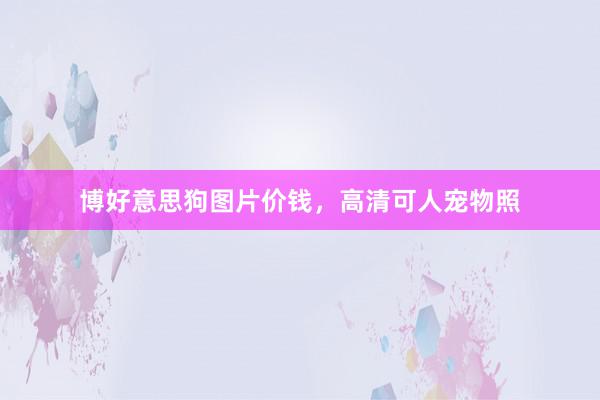 博好意思狗图片价钱，高清可人宠物照