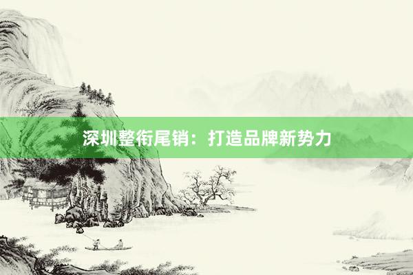 深圳整衔尾销：打造品牌新势力